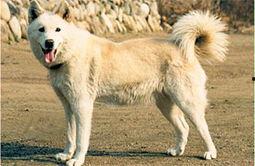 狼狗最新爆料网站大全图片,揭秘网络热点背后的真相