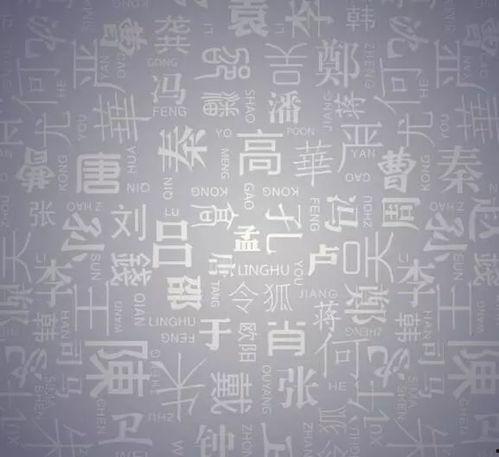 广西姓氏爆料事件最新,揭秘背后惊人真相与家族纠葛