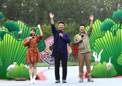 新乡都市爆料新闻最新视频,视频揭秘惊人真相！