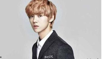 鹿晗漫画爆料最新版,揭秘明星私生活与情感纠葛